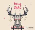 Rentier mit Sonnenbrille - Merry Xmas - webks.de