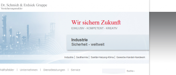 Webdesign Drupal Internetauftritt - Dr. Schmidt und Erdsiek Gruppe
