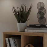 Schrank Express Startseite (Desktopansicht)