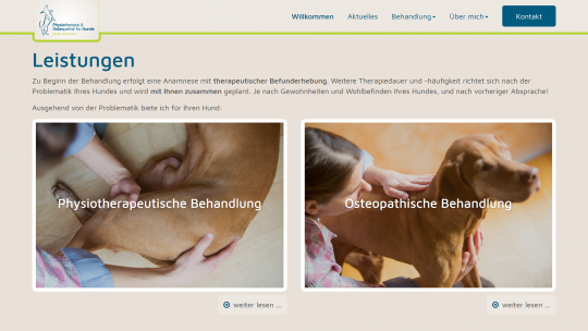 Hundephysio-Minden.de Webdesign Leistungen Bereich Desktop PC / Laptop